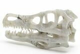 Carved Labradorite Dinosaur Skull #218493-5